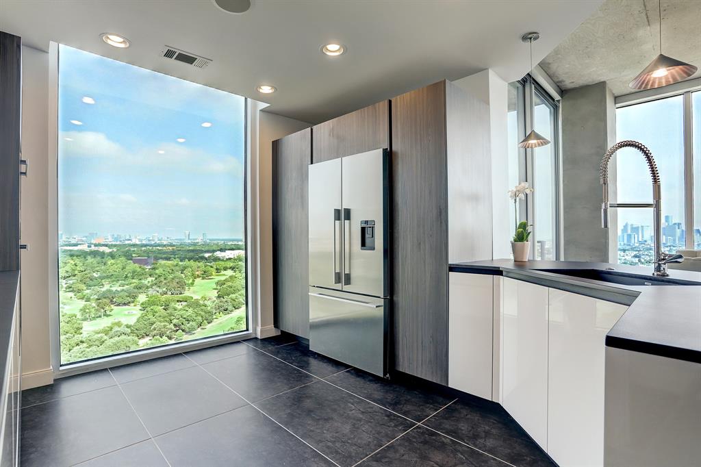 Nice views from a modern kitchen in Houston